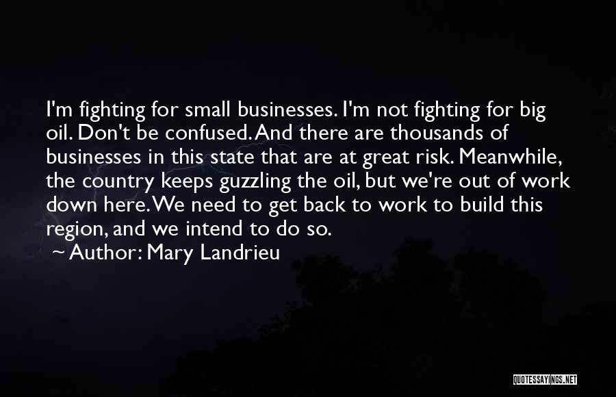 Need To Get Out Of Here Quotes By Mary Landrieu