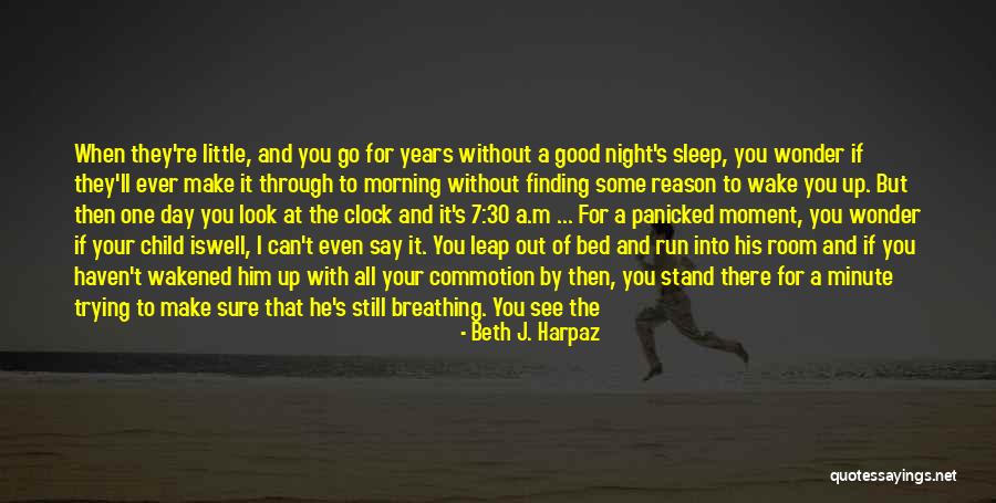 Need To Go To Sleep Quotes By Beth J. Harpaz