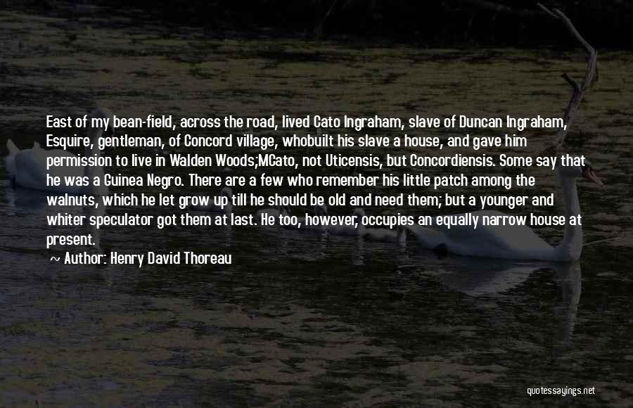 Need To Grow Up Quotes By Henry David Thoreau