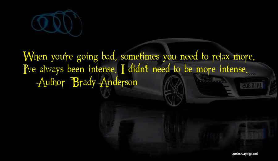 Need To Relax Quotes By Brady Anderson