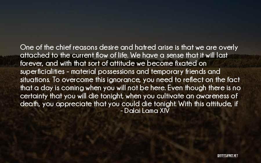 Need To Sort My Life Out Quotes By Dalai Lama XIV Need To Sort My Life Out Quotes By Dalai Lama XIV