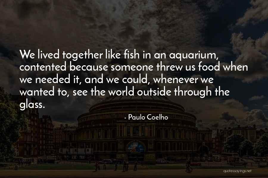 Needed Wanted Quotes By Paulo Coelho