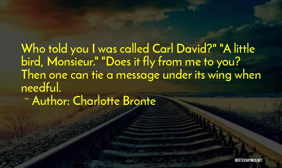 Needful Quotes By Charlotte Bronte
