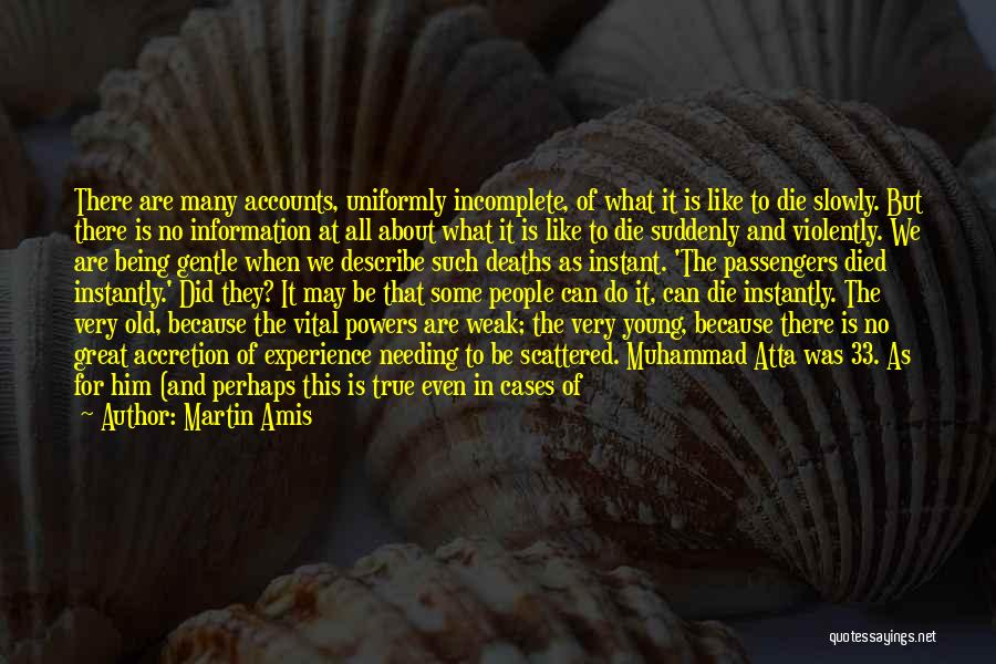 Needing More Time Quotes By Martin Amis