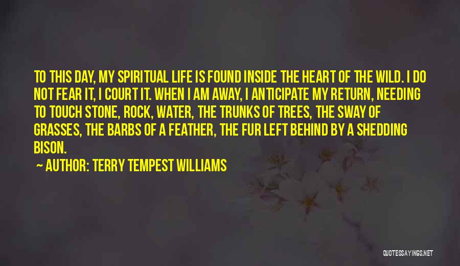 Needing Someone In Your Life Quotes By Terry Tempest Williams
