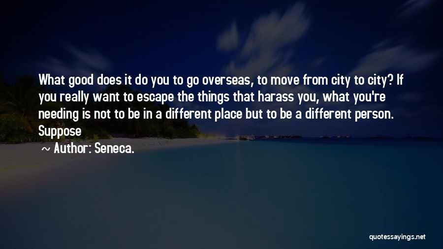 Needing That One Person Quotes By Seneca.