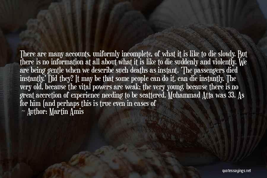 Needing Time To Think Quotes By Martin Amis