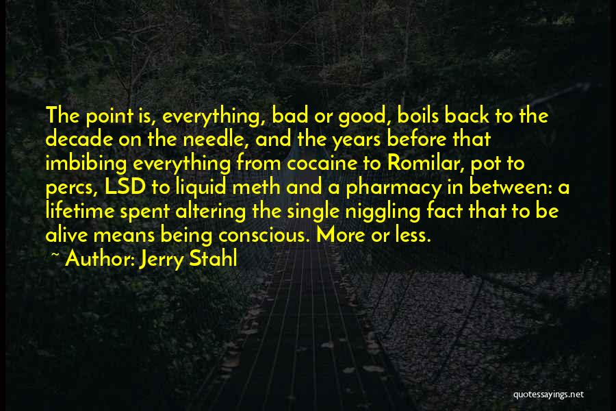 Needle Point Quotes By Jerry Stahl