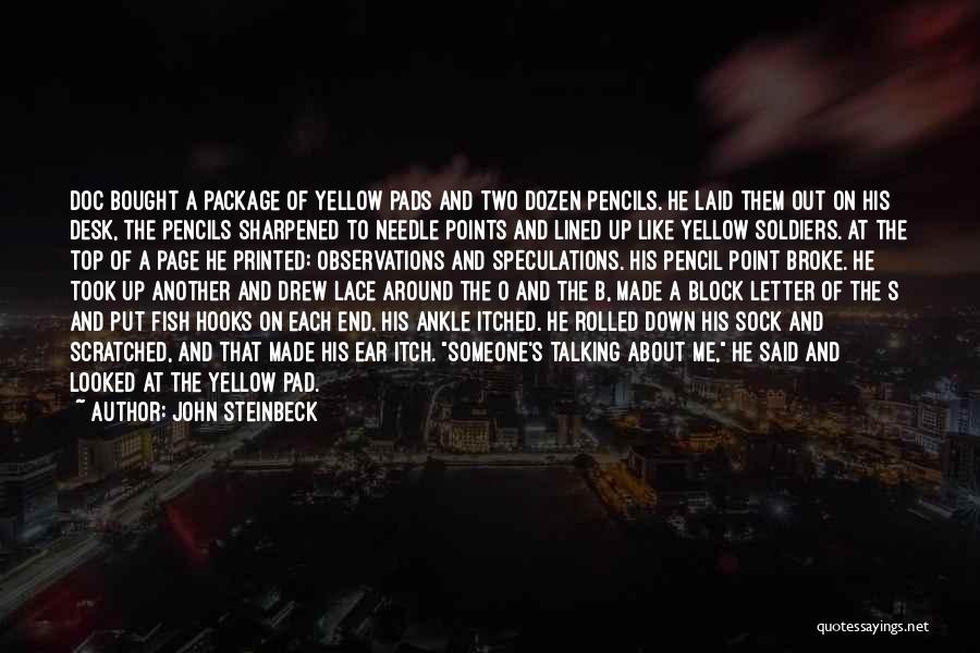 Needle Point Quotes By John Steinbeck