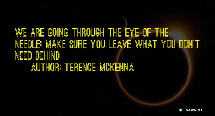 Needle Quotes By Terence McKenna