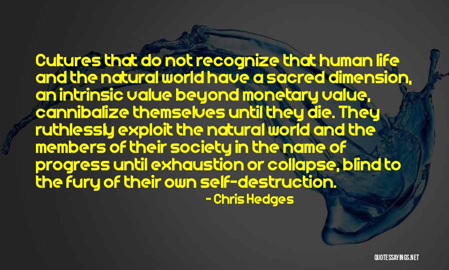Needlepoint Pillows Quotes By Chris Hedges Needlepoint Pillows Quotes By Chris Hedges