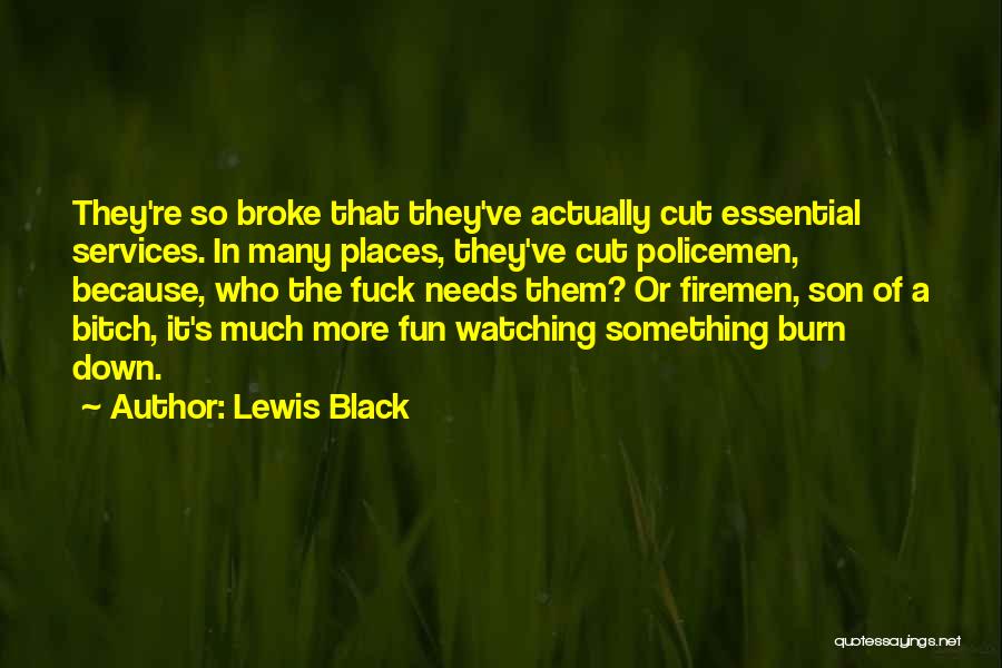 Needs Of The Many Quotes By Lewis Black