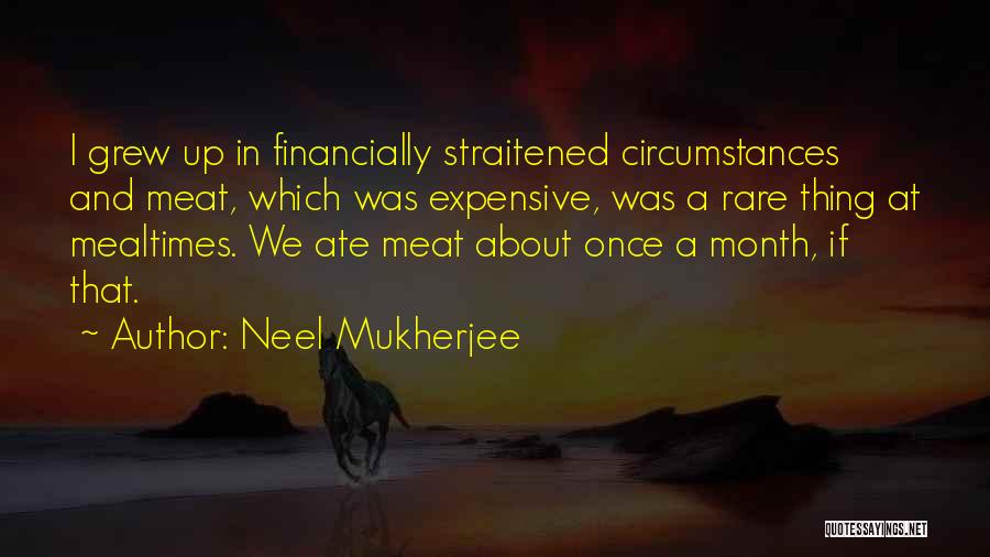 Neel Mukherjee Quotes 1381003