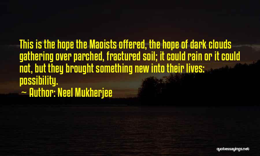 Neel Mukherjee Quotes 1720585