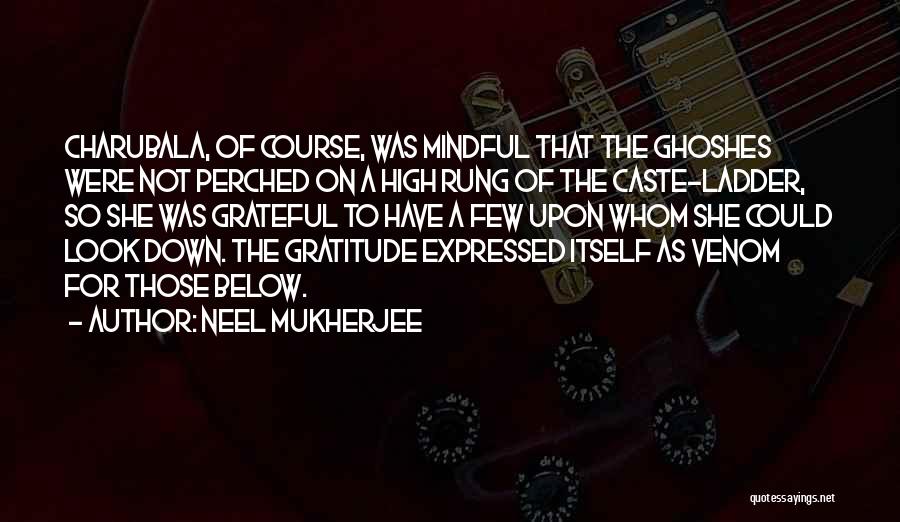 Neel Mukherjee Quotes 2262458