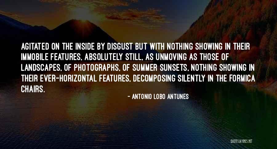 Neelakshi Goswami Quotes By Antonio Lobo Antunes Neelakshi Goswami Quotes By Antonio Lobo Antunes