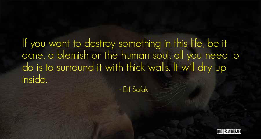 Neelam Kothari Quotes By Elif Safak Neelam Kothari Quotes By Elif Safak