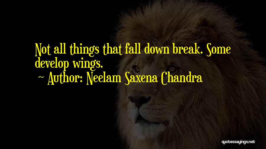 Neelam Saxena Chandra Quotes 203264