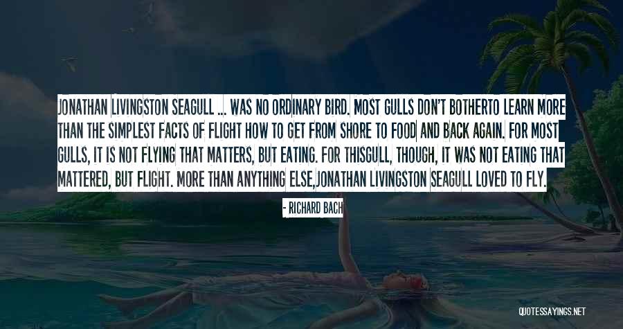 Neelambari Powder Quotes By Richard Bach
