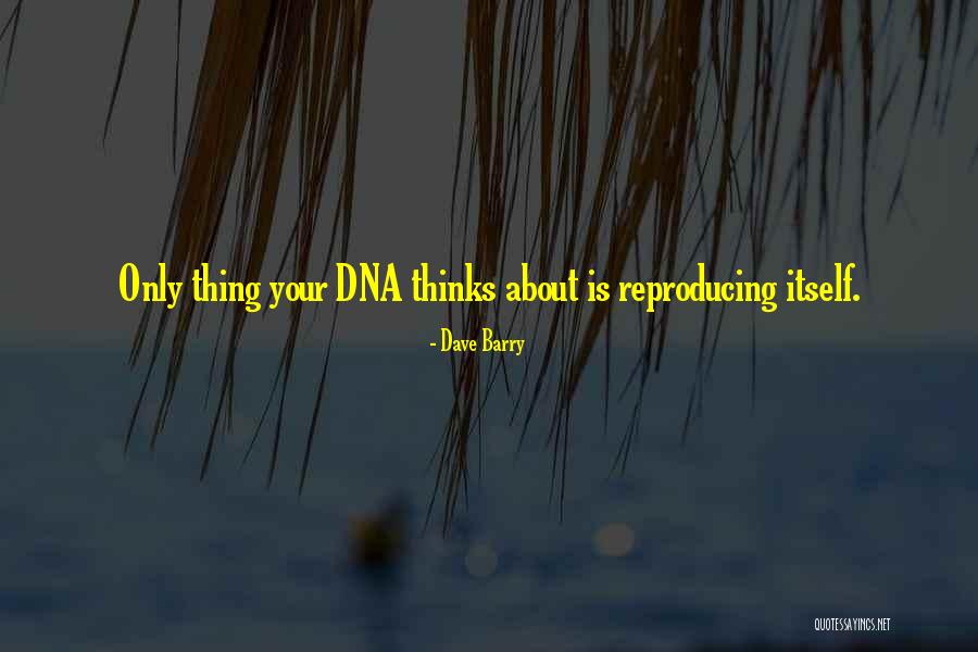Neelofa Siblings Quotes By Dave Barry Neelofa Siblings Quotes By Dave Barry