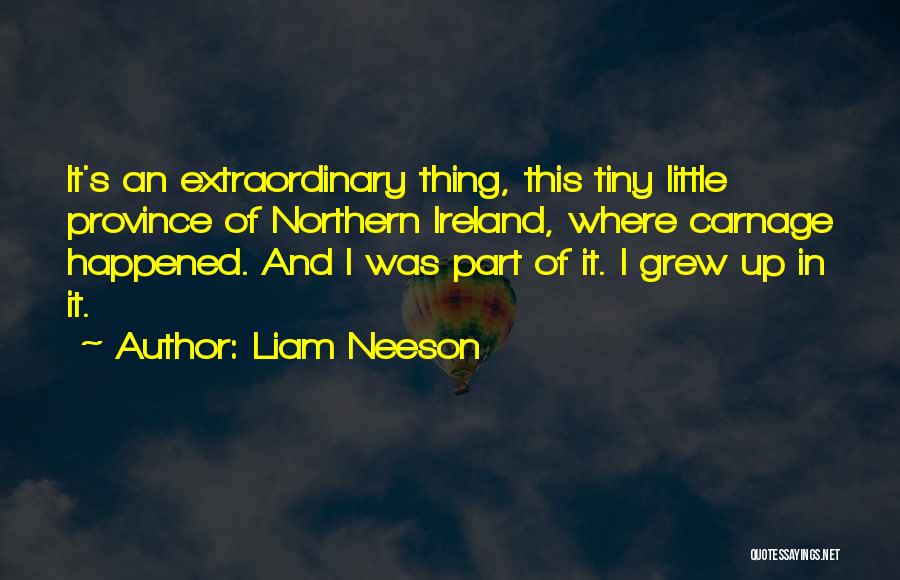 Neeson Quotes By Liam Neeson