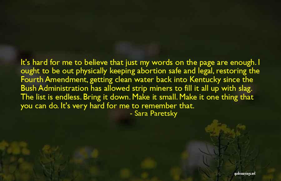 Nefarious In A Sentence Quotes By Sara Paretsky Nefarious In A Sentence Quotes By Sara Paretsky