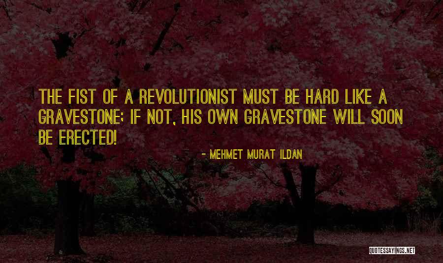 Neferia Quotes By Mehmet Murat Ildan Neferia Quotes By Mehmet Murat Ildan