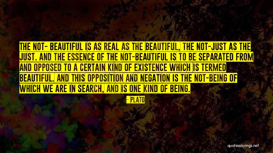 Negation Of Quotes By Plato Negation Of Quotes By Plato