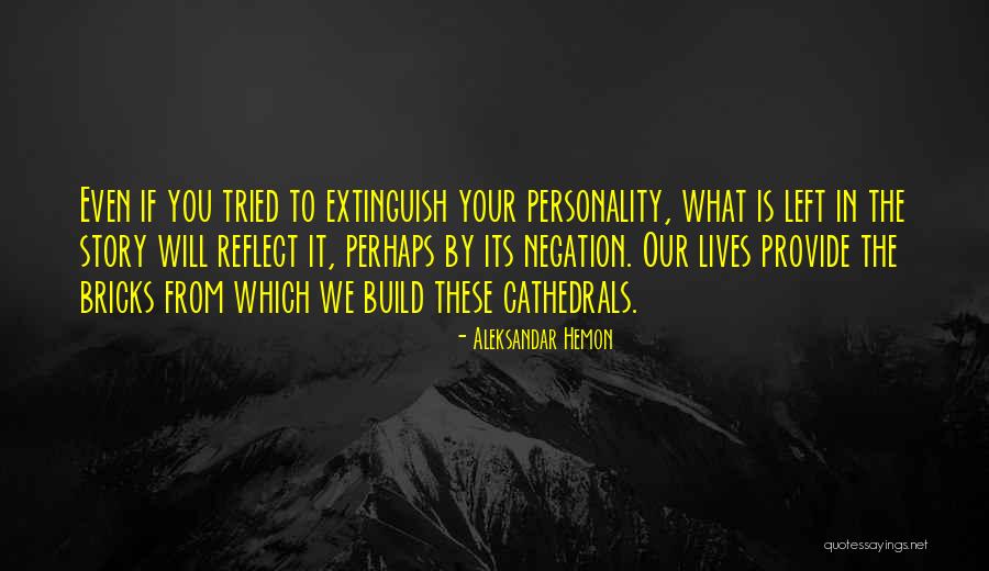 Negation Quotes By Aleksandar Hemon Negation Quotes By Aleksandar Hemon