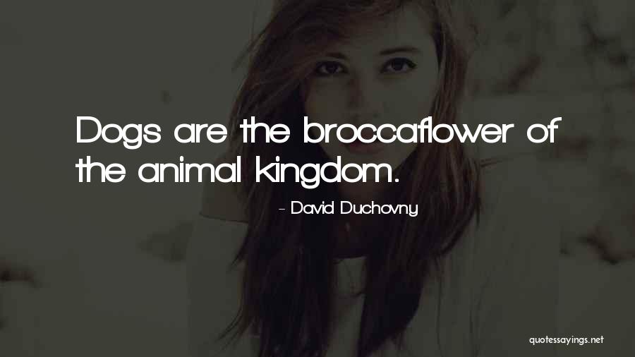 Negativamente En Quotes By David Duchovny Negativamente En Quotes By David Duchovny