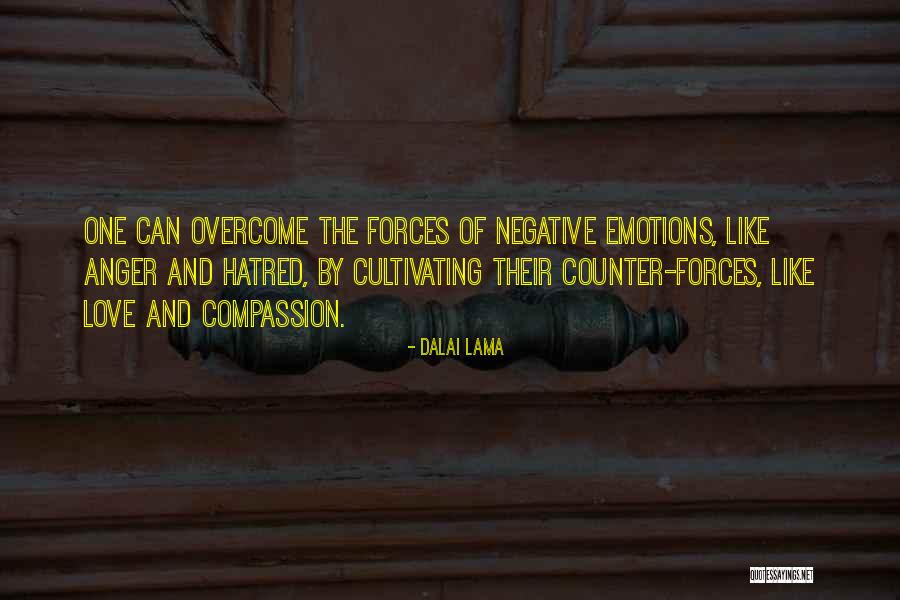 Negative Anger Quotes By Dalai Lama Negative Anger Quotes By Dalai Lama