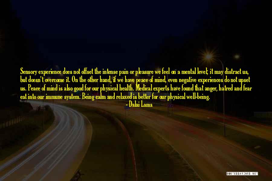 Negative Anger Quotes By Dalai Lama Negative Anger Quotes By Dalai Lama