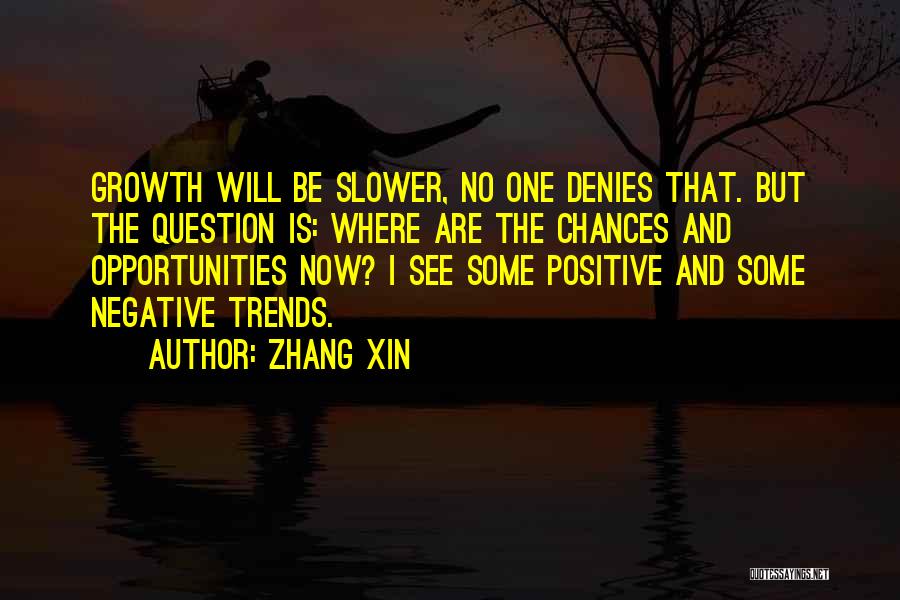 Negative But Positive Quotes By Zhang Xin