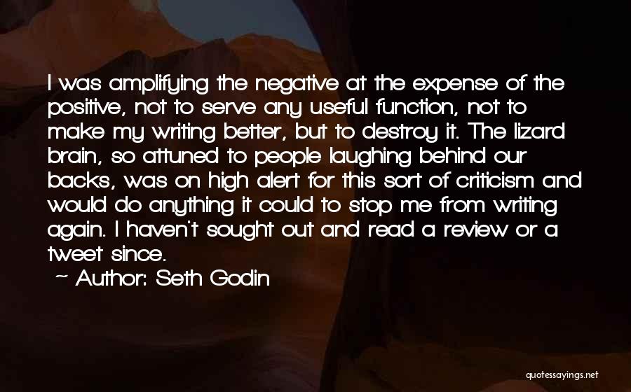 Negative Criticism Quotes By Seth Godin