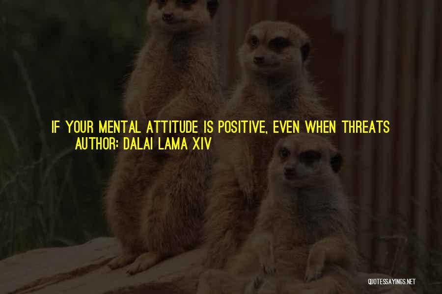 Negative Friends Quotes By Dalai Lama XIV