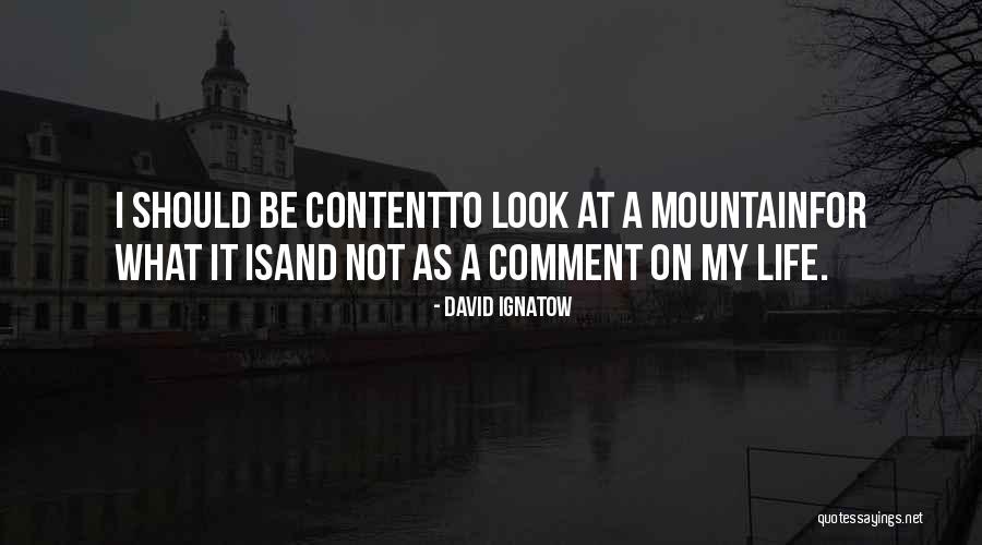Negative Impact Of Advertisements Quotes By David Ignatow