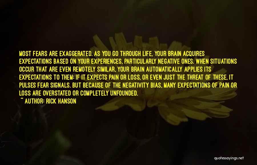 Negative Life Experiences Quotes By Rick Hanson