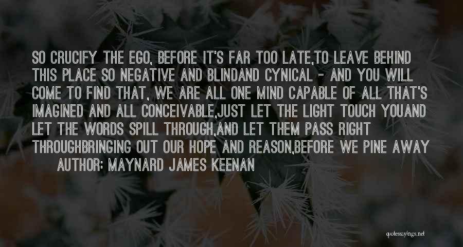 Negative Self Reflection Quotes By Maynard James Keenan