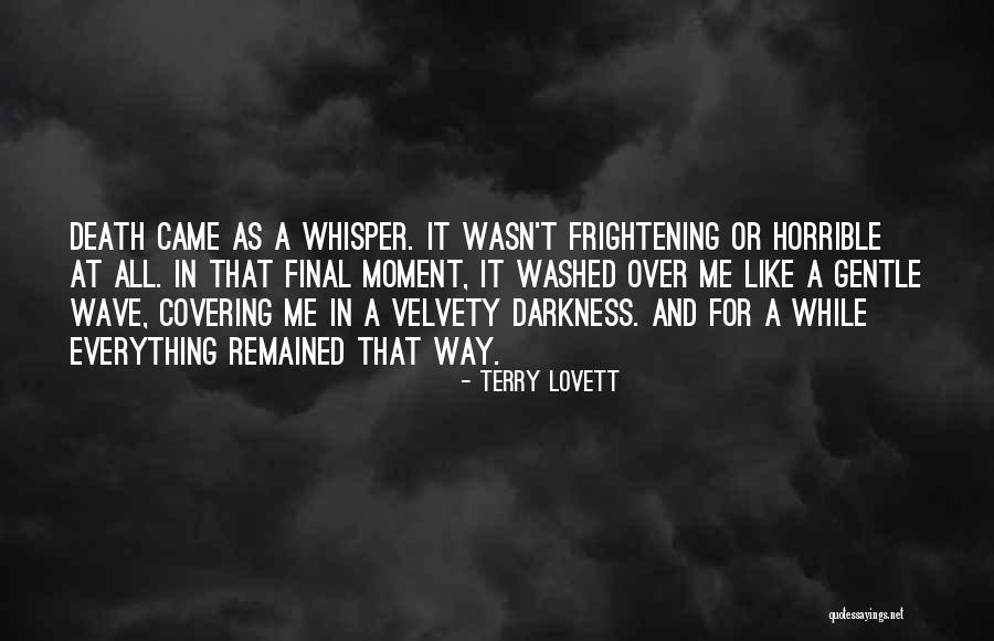 Negativists Quotes By Terry Lovett Negativists Quotes By Terry Lovett