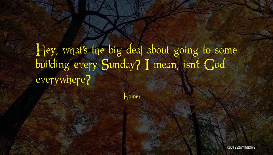 Negativni Stepen Quotes By Homer Negativni Stepen Quotes By Homer