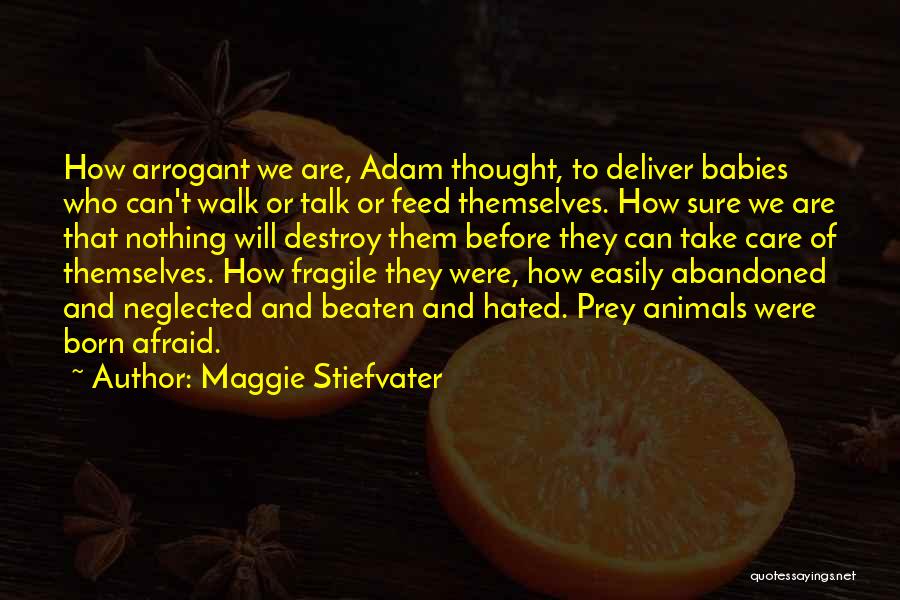Neglected Animals Quotes By Maggie Stiefvater