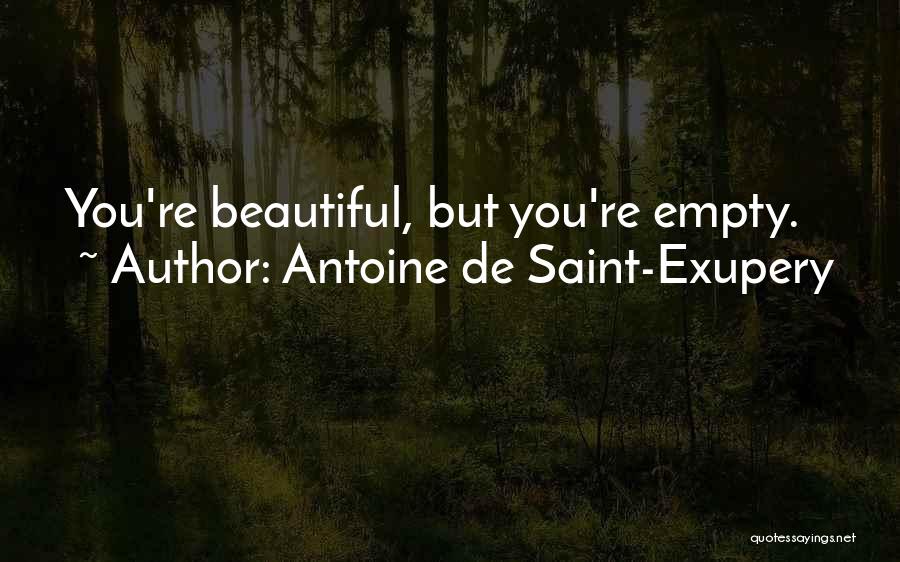 Negligently Def Quotes By Antoine De Saint-Exupery