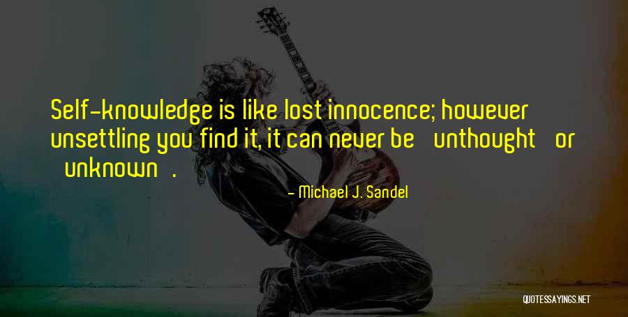 Negligible In A Sentence Quotes By Michael J. Sandel Negligible In A Sentence Quotes By Michael J. Sandel