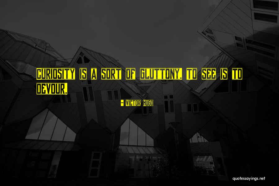 Negligible In A Sentence Quotes By Victor Hugo