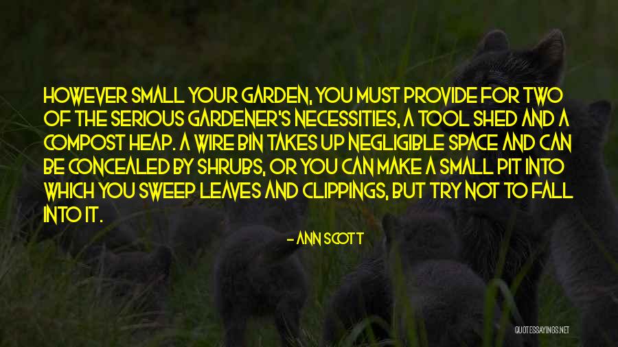 Negligible Quotes By Ann Scott Negligible Quotes By Ann Scott