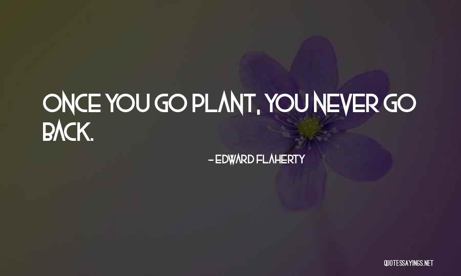 Negussie Bulcha Quotes By Edward Flaherty Negussie Bulcha Quotes By Edward Flaherty