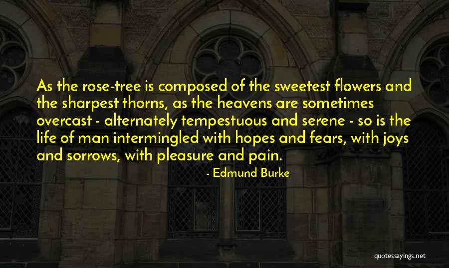 Nehara Sandal Quotes By Edmund Burke Nehara Sandal Quotes By Edmund Burke