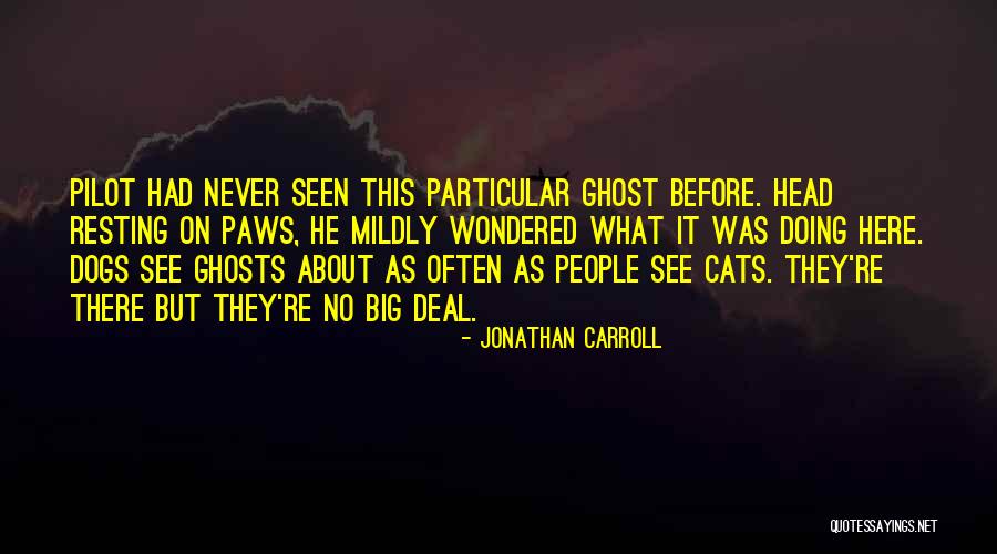 Nehody Na Quotes By Jonathan Carroll Nehody Na Quotes By Jonathan Carroll