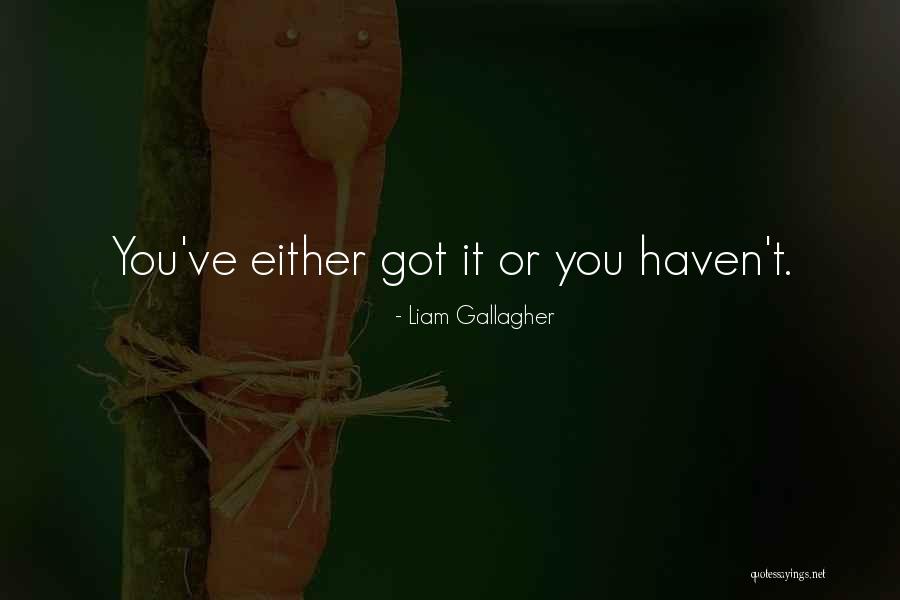 Neidhardt Small Quotes By Liam Gallagher Neidhardt Small Quotes By Liam Gallagher