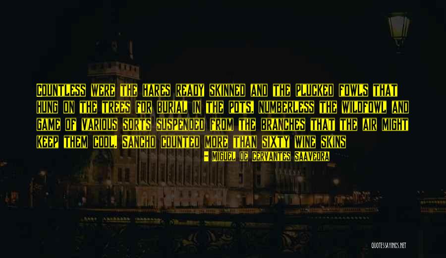 Neigbourhood Quotes By Miguel De Cervantes Saavedra Neigbourhood Quotes By Miguel De Cervantes Saavedra